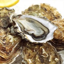 국내산 여수 석화 키로별 5kg/10kg, 02. 국내산 여수 석화 10kg