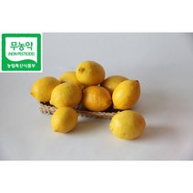 [레몬올레농장] 제주친환경 레몬 생과, 9kg, 1개
