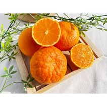 [산지직송] 제주 프리미엄 고당도 수라향 로얄혼합과, 수라향 4.5kg 로얄혼합과(30과 내외)