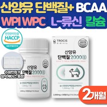 산양유단백질 류신타블렛 남자 여성 올인원 단백질 보충제 BCAA 효과 운동후 류신 효능 네덜란드 산양유 프로틴 유청단백질 루신 WPI WPC 추천 아미노산 마그네슘 칼슘 엽산 아연, 2개월