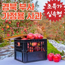 초특가 못난이사과 햇사과 경북 부사 가정용 흠집 흠 주스용 쥬스용 즙용 고당도 미시마 미안마 후브락스 로얄 한입 미니 꼬마 사과 꼬마과 소과 중소과 중과 중대과 대과 4kg 9kg, (b) 가정용 사과 4kg 소과 (23개 내)