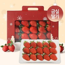 우리동네과수원 프리미엄 특품 수곡 금실 딸기 500g (15~20과 14brix~)