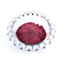 백년초 분말 40g