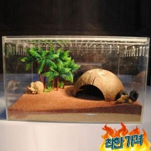 수초맛집 수초킹 새우 체리새우 거북이우 은처 우 물고 구피, 1개