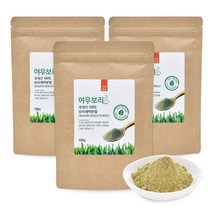 가든푸드 친환경 새싹보리분말 여우보리 100g x 3봉