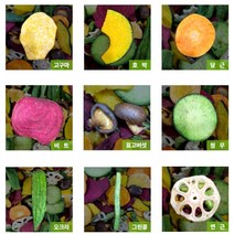 이라온 동결건조 야채칩 말린야채 간식 200g