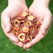 산사열매(산사자)편 200g 한방재료 한약재 약초 한방차, 132D_산사열매(산사자)편 200g