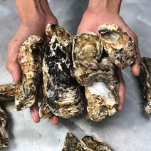 S급 제철굴 석화 5kg 10kg 하프쉘 반각굴 통영굴 여수석화, S급 석화 5kg