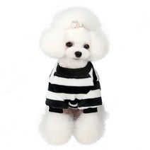 강아지 겨울 극세사 털옷 부드러운 기모 티셔츠 실내복, 블랙