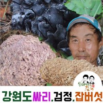 먹버섯 까치버섯 자연산버섯 곰버섯 검정버섯 강원도양양, 까치버섯1kg