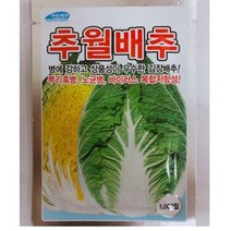 추월배추씨앗 1000립 뿌리혹병 노균병 바이러스에 강한 김장배추 씨앗 종자