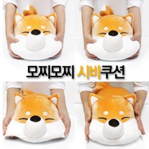 갓샵 모찌모찌 시바 강아지 애착 인형 쿠션