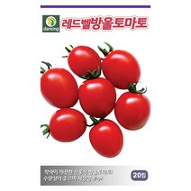 갑조네 열매 채소류 씨앗 모음, 레드벨방울토마토(씨앗), 1개