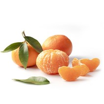 제주 서귀포 프리미엄 제철과일 고당도 천혜향 1KG 3KG 5KG 10KG, 5KG(K1168706 ), 1개