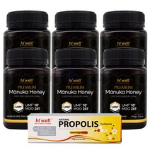 하이웰 프리미엄 마누카 허니 UMF 10+ 500g 6개