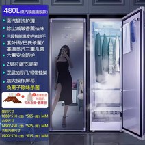 의류관리기 옷드라이 미국 완전 자동 스팀 다림질 의류 관리 기계 가정용 건조기 주름 제거 캐비닛, 3. 주력 스팀 다림질 및 건조 모델 480L 거울 이
