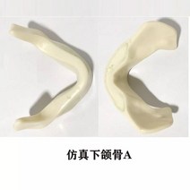 치아모형 재료 임플란트 모델 교습 실습 시험 모델 준비 치열 교정 병리학 구강 모델, 인공 하악