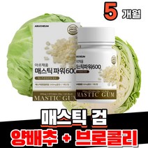 메스틱검 매스틱검 매스틱 메스틱 mastic gum 양배추 브로콜리 감초 추출물, 5개(5개월)