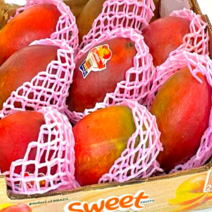 [새콤달콤 쫀득] 항공직송 고당도 애플 망고, 1개, 선물용 혼합 (애플3+골드3)