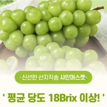 [산지직송]김천 샤인머스켓 고당도 애플 망고 청포도 국내산 샤인머스캣 설 명절 과일선물세트 2송이 3송이 1kg 2kg 2.5kg, 특품 1.2kg 내외(2송이)