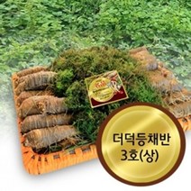 고씨네농가 강원도더덕 도라지 야생더덕 더덕3호상더덕 더덕구이 더덕무침 더덕의효능 더덕효능 겨울더덕 더덕장아찌 더덕주 깐더덕 더덕차 더덕씨앗 횡성더덕 자연산더덕 더덕즙효능 산더덕 더덕재배 강원도더덕 더덕즙 더덕주담그기 더덕주스, 본상품, 굿쇼핑몰 본상품선택