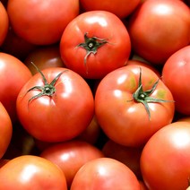 [아이엠토마토] [농부마음] 전라도 새콤달콤 정품 완숙 찰 토마토 5kg 10kg 찰토마토, 1box, 5kg 4-5번과(소과)