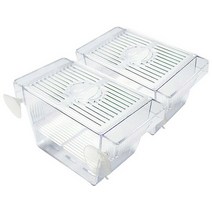 아마존 미니 부화통, 6개