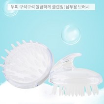 셀럽하우스 국산 샴푸 브러쉬 색상랜덤 2개, 기본상품