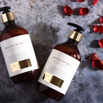 모생모 천연 한방원료 두피강화 탈모케어 탈모치료샴푸 500ml, 500ml(2박스)