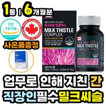 직장인 남자 여자 간건강에좋은 비타민 B군 밀크씨슬 엽산 아연 함유 면역 간 보호 보조 영양 제 밀크 시슬 티슬 실리마린 30대 40대 50대 회사원 남성 여성 필수 활력 수용성