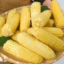 [100%품질보증제] 대용량 특대 백찰 홍찰 찰옥수수 냉동 삶은 찐 옥수수 빅사이즈 (16-21cm내외), a. 50개/백찰옥수수(특대 16-21cm)