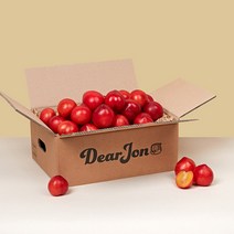 [디어존] 특등급 맛있는 추희 자두 1kg 2kg, 2kg 16-20입