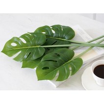 초록 싱그러운 분위기 몬테라스 인조 꽃 행사용조화