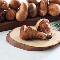 [향채움] 국내산 참송이버섯 1kg, 1박스