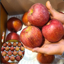 경북 꿀 부사 사과 알뜰용 흠집사과 못난이사과 가정용 일반용, 중과(로얄) (11-15과 3kg)