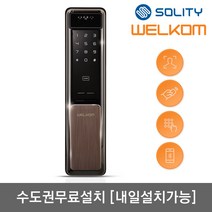 [수도권설치-내일도 가능] 솔리티 웰콤 신제품 얼굴안면인식 푸시풀 WSP-2900A 카드키2개+번호키 블루투스(옵션) AI딥러닝기술 신속 정확한 얼굴인증 얼굴인식100개, 수도권설치(내일도 가능)-수요일