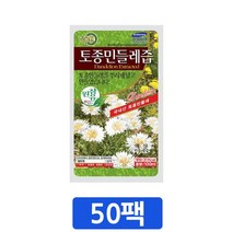 ▶Arianycos◀ Arianycos▶ 버섯엑기스 액기스 영양액기스 민들레즙선물 즙, ▶Arianycos◀ 아이들도 잘먹을 만큼 쓴맛을 쏙뺀, 토종흰민들레즙/100ml X 50개입, 100ml