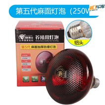 보온 열전등 램프 양돈 온열 축사 히팅 보온등 축산 가축보온 양계 보온갓등, 5세대 레드마면250W(10개입)