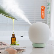 가습기 소규모 사무실 데스크탑 대용량 500ml 가습 스프레이 아로마 테라피 에센셜 홈, 프레시 그린 아로마 테라피 1 병 무료