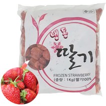 글로벌 냉동 딸기 1kg, 1개