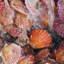 [통영직송] 살이꽉찬 남해안 홍가리비 대왕 제철 세척 1kg 새로푸드, 가을겨울 제철 홍가리비 1kg (20~25미 내외), 1개