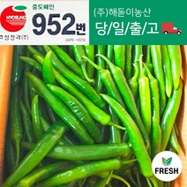 <해돋이농산> 국내산 아삭이고추 오이고추 오이맛고추 못난이상품 5kg 10kg, 1박스” class=”wr-img”></a></div></p></div></p></div></p></div><div class=