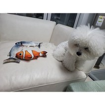 반려동물 움직이는 생선 춤추는 물고기 강아지 고양이 장난감, 잉어