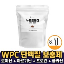 뉴트로웨이 농축유청단백 1.2kg 대용량 단백질 보충제 프로틴 BCAA 초코맛, 1개, WPC 1.2kg 초코맛