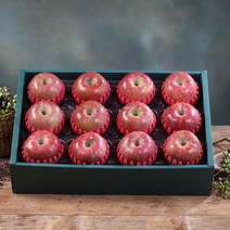 [당일배송/정성포장]사과 세트 1호 2호(12개이하 4.7kg) 과일선물세트, 사과 세트 2호(12개이하 4.6kg)