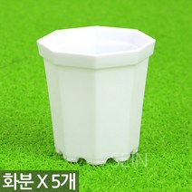 다육이화분 민트 X 5개 - 플라스틱 미니 어린이 식목일 행사 어린이집 유치원 플분 다육 선인장 식물 모종 삽목 인테리어 홈 가드닝