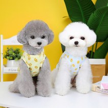 오늘뭐입냥 강아지 시원한 아기곰 여름옷 티셔츠 고양이옷 실내복 애견옷, [아가곰] 블루