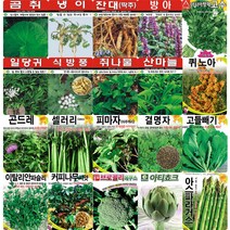 각종 민속 채소 특수 씨앗 모음 도라지 더덕 냉이 산마늘 고수 곰취 나물 약초 씨 종자 모음, 결명자