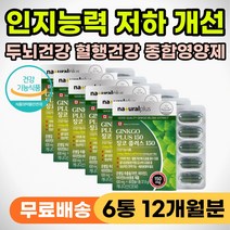 노인 어르신 뇌 두뇌 건강 영양제 인지능력 저하 예방 60대 70대 80대 브레인 기억력 인지력 개선제 개선 효과 은행잎 징코 포스티딜세린 피에스 PS 부모님 시니어 선물 추천
