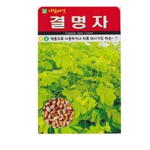 SN월드 씨앗 민속특수씨앗 약초 곰취 냉이 와송 삼채 더덕 도라지 당귀 잔디, 결명자